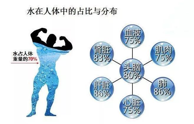 饮水是健康之本，你知道其中的原因吗？