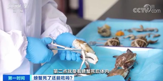 螃蟹死了还能吃吗？吃不好有致命的可能！！！【每天一个冷知识系列（59）】