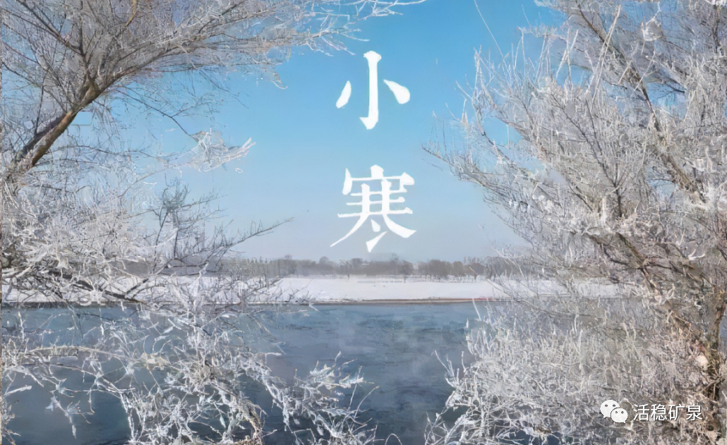 【小寒】踏雪寻梅丨年味渐浓